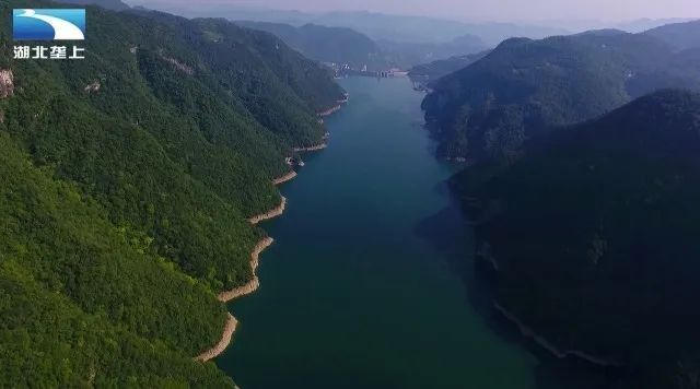 鱘龍魚產地在中國的哪里 鱘龍魚產地在中國的哪里 龍魚百科 第8張