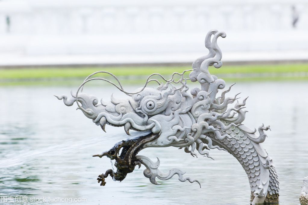龍魚狀態好但吐食怎么辦：龍魚狀態好但吐食
