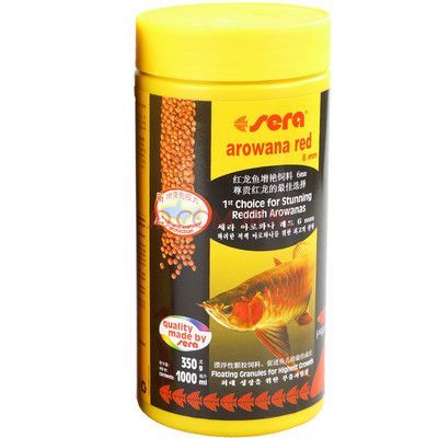 AC龍魚品牌AC龍魚品牌（紅龍魚哪個品牌最好）：尋找最佳紅龍魚ac品牌