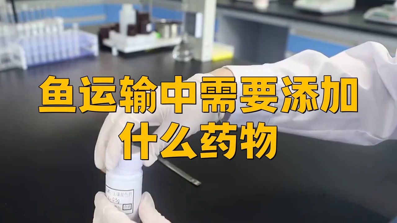 賣魚加什么藥水可以不死