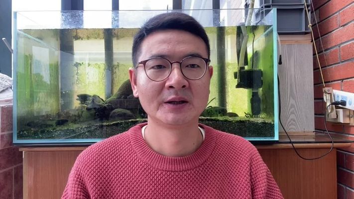 龍魚缸背景圖選擇圖片大全，龍魚缸背景圖選擇圖片大全boussac魚缸 龍魚缸背景圖選擇圖片大全，龍魚缸背景圖選擇圖片大全boussac魚缸 龍魚百科 第2張