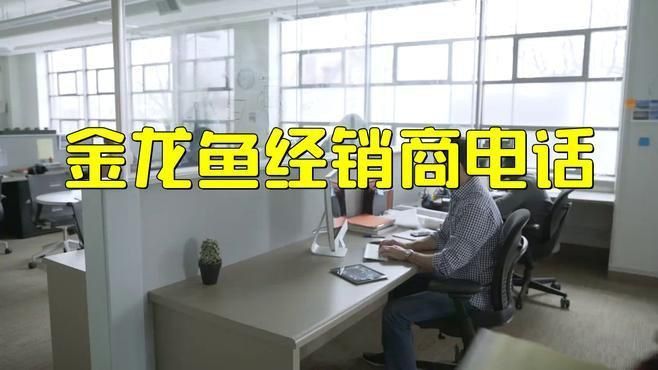 金龍魚聯系方式怎么查