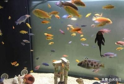 福滿鉆魚繁殖最佳水溫范圍，