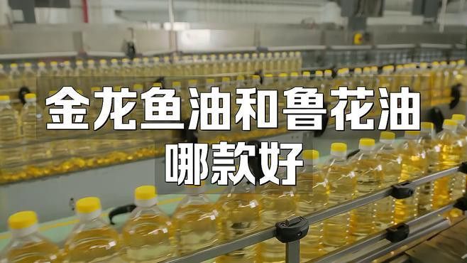 紅龍魚游動時身體抽搐怎么回事：紅龍魚抽搐怎么辦
