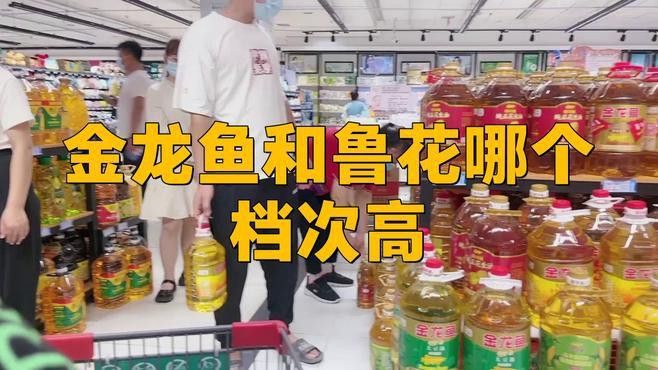 紅龍魚游動時身體抽搐怎么回事：紅龍魚抽搐怎么辦