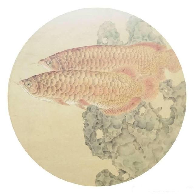 關于龍魚的詩句古詩（描寫“龍魚”的古詩都有哪些） 關于龍魚的詩句古詩（描寫“龍魚”的古詩都有哪些） 龍魚百科 第3張