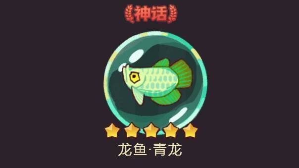 龍魚 青龍，咸魚之王中青龍魚的獲取方法