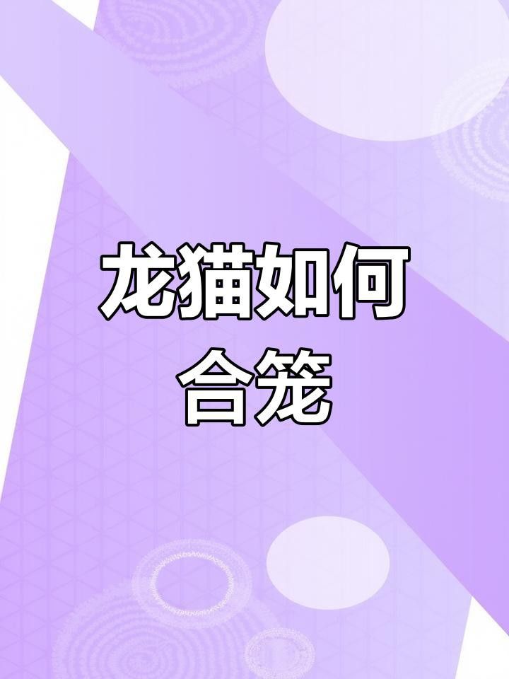 龍貓合籠需要多長時間適應？