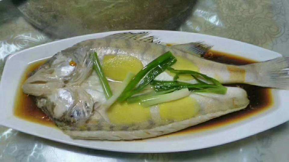 龍魚怎么做好吃又簡單：紅燒龍魚的入味秘訣,番茄龍魚的烹飪時間