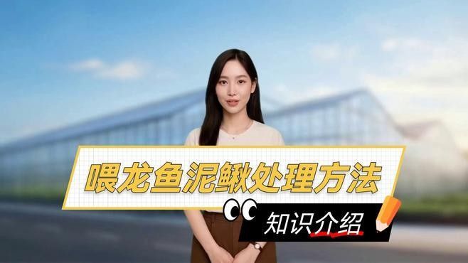 龍魚為什么不吃虎魚飼料 龍魚為什么不吃虎魚飼料 龍魚百科 第2張
