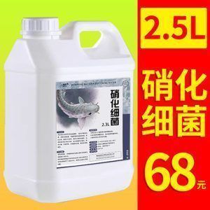 龍魚缸清理褐藻的工具魚（在龍魚缸中清理褐藻的工具魚）
