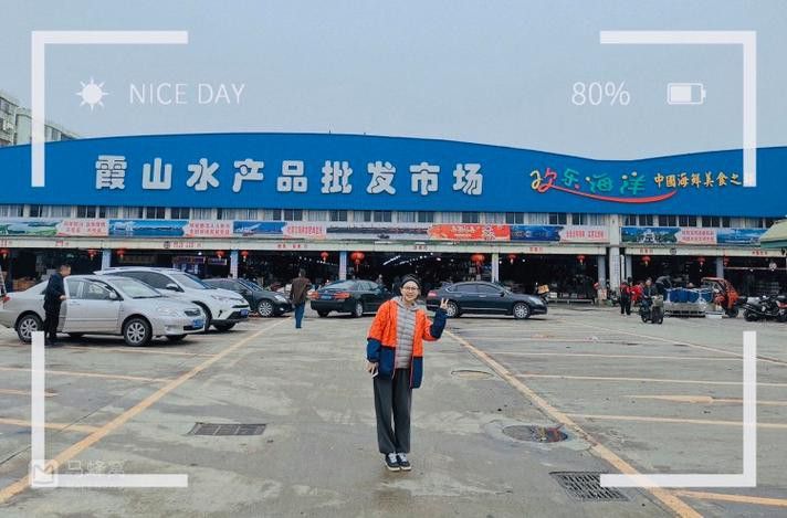 湛江龍魚批發市場在哪里有賣