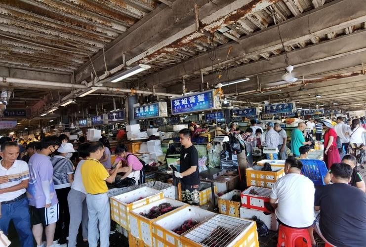 湛江龍魚批發市場在哪里有賣