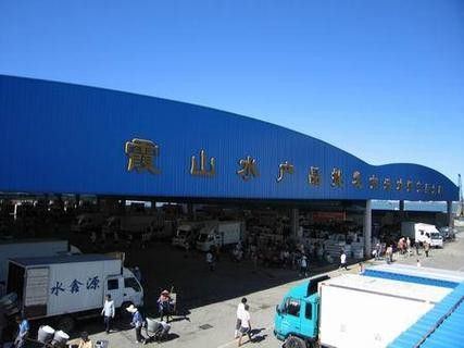 湛江龍魚批發市場在哪里有賣