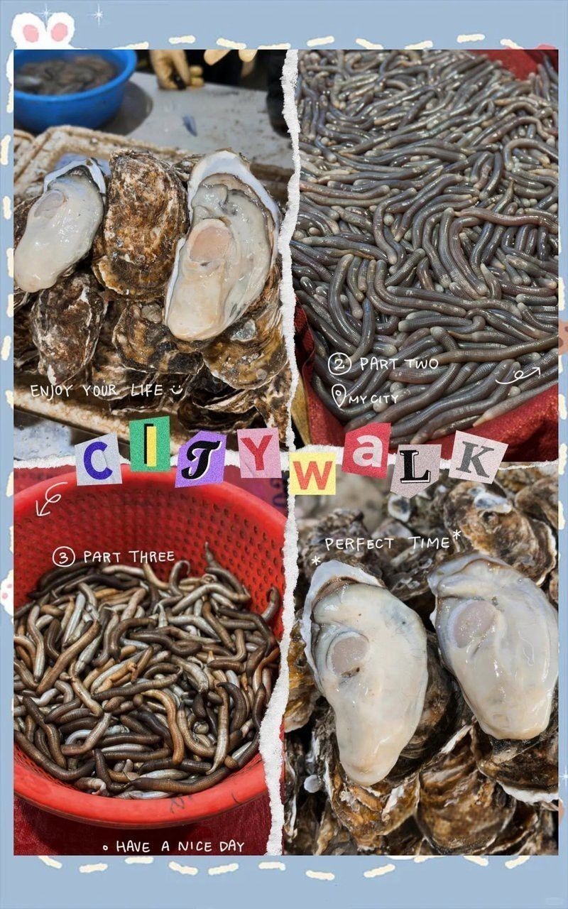 湛江龍魚批發市場在哪里有賣