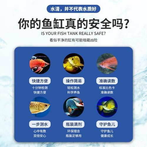 紅龍魚白天趴缸晚上好怎么回事啊圖片