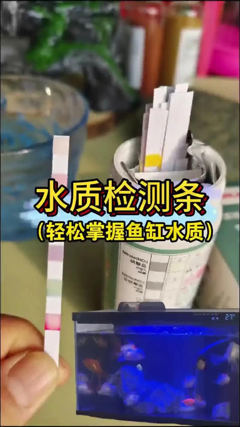 紅龍魚白天趴缸晚上好怎么回事啊圖片