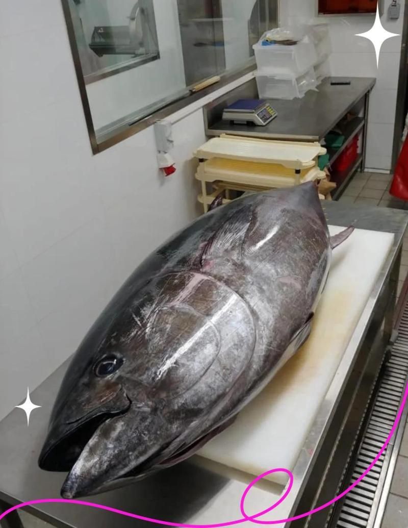 金槍魚生吃真實感覺