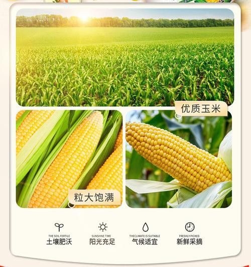 金龍魚玉米油有哪些規格可選？ 金龍魚玉米油有哪些規格可選？ 龍魚百科 第5張