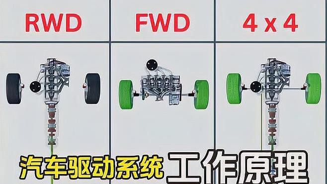 金龍魚玉米油有哪些規格可選？ 金龍魚玉米油有哪些規格可選？ 龍魚百科 第8張
