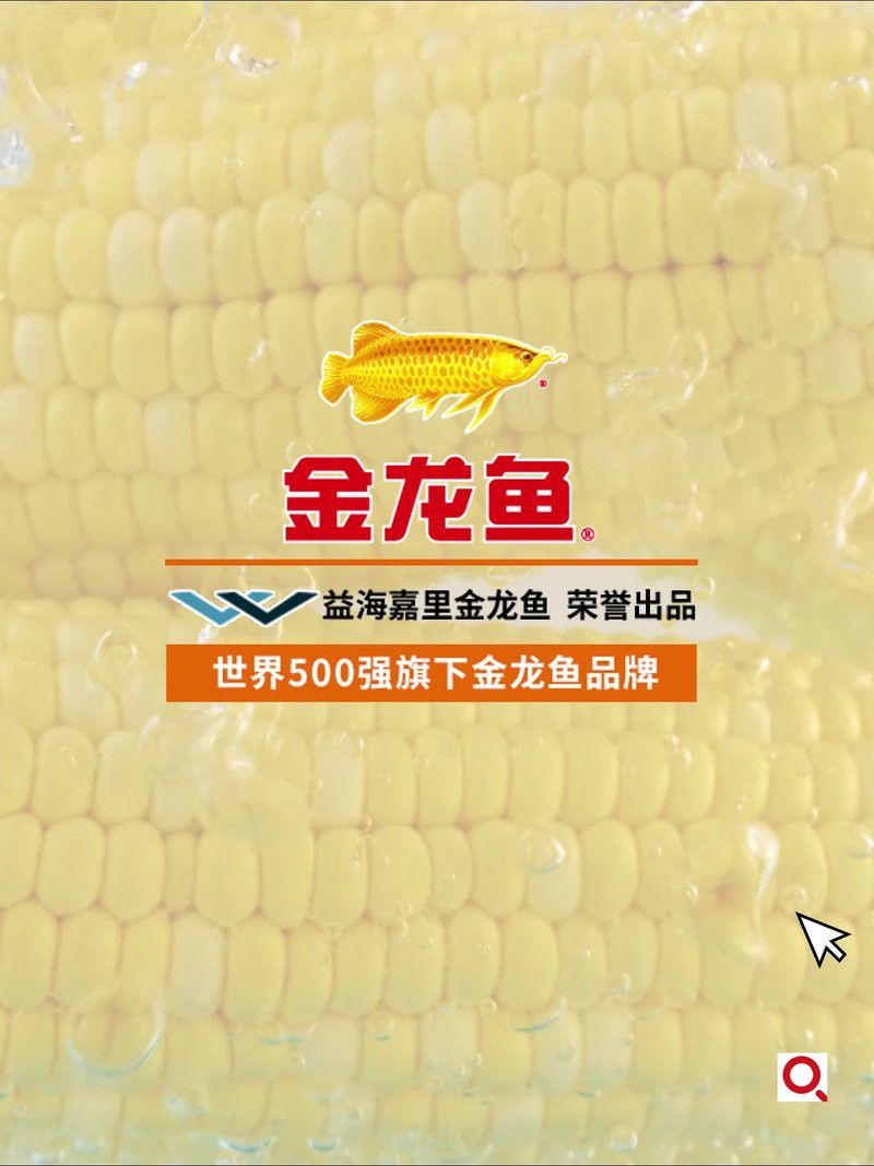 金龍魚玉米油有哪些規格可選？ 金龍魚玉米油有哪些規格可選？ 龍魚百科 第12張