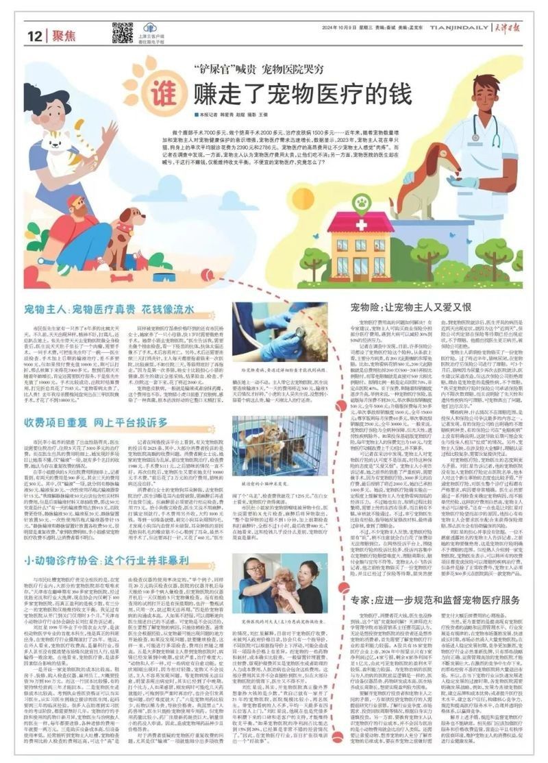 龍貓的醫療費用大概是多少？ 龍貓的醫療費用大概是多少？ 龍魚百科 第7張