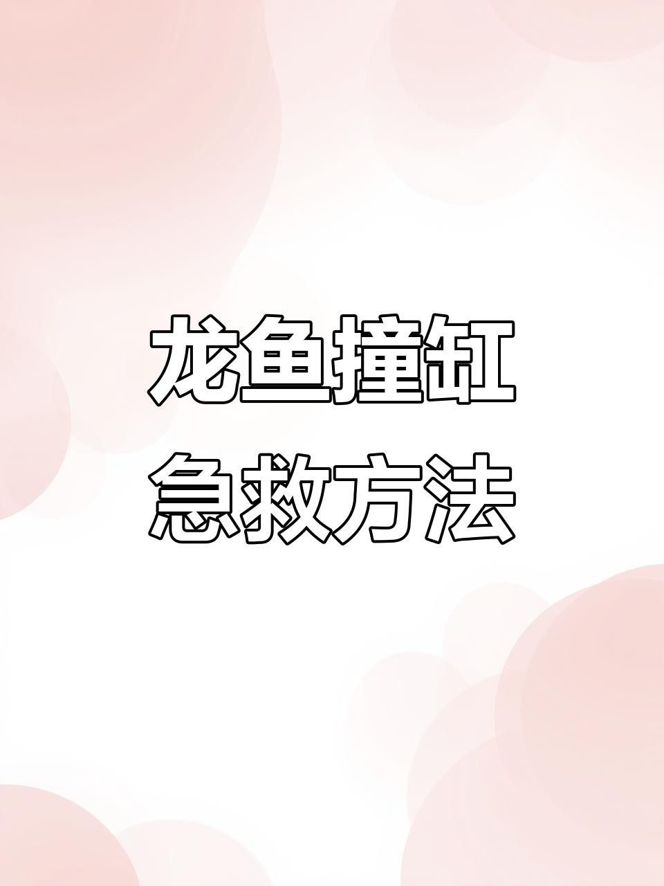 龍魚撞缸后多久恢復 龍魚撞缸后多久恢復 龍魚百科 第5張