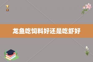 龍魚喂什么比較好：龍魚幼魚階段如何科學喂養(yǎng)成年龍魚的日常飲食管理