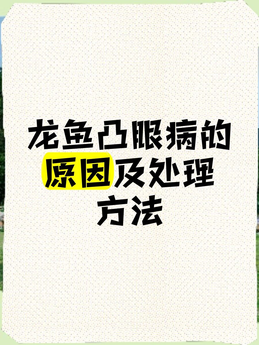 龍魚凸眼病能自愈嗎