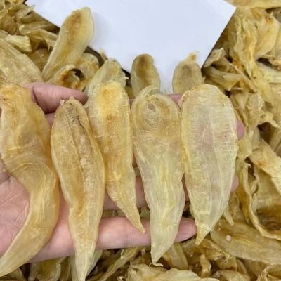 龍魚一會趴缸一會游動正常嗎怎么回事：龍魚一會趴缸一會游動怎么辦