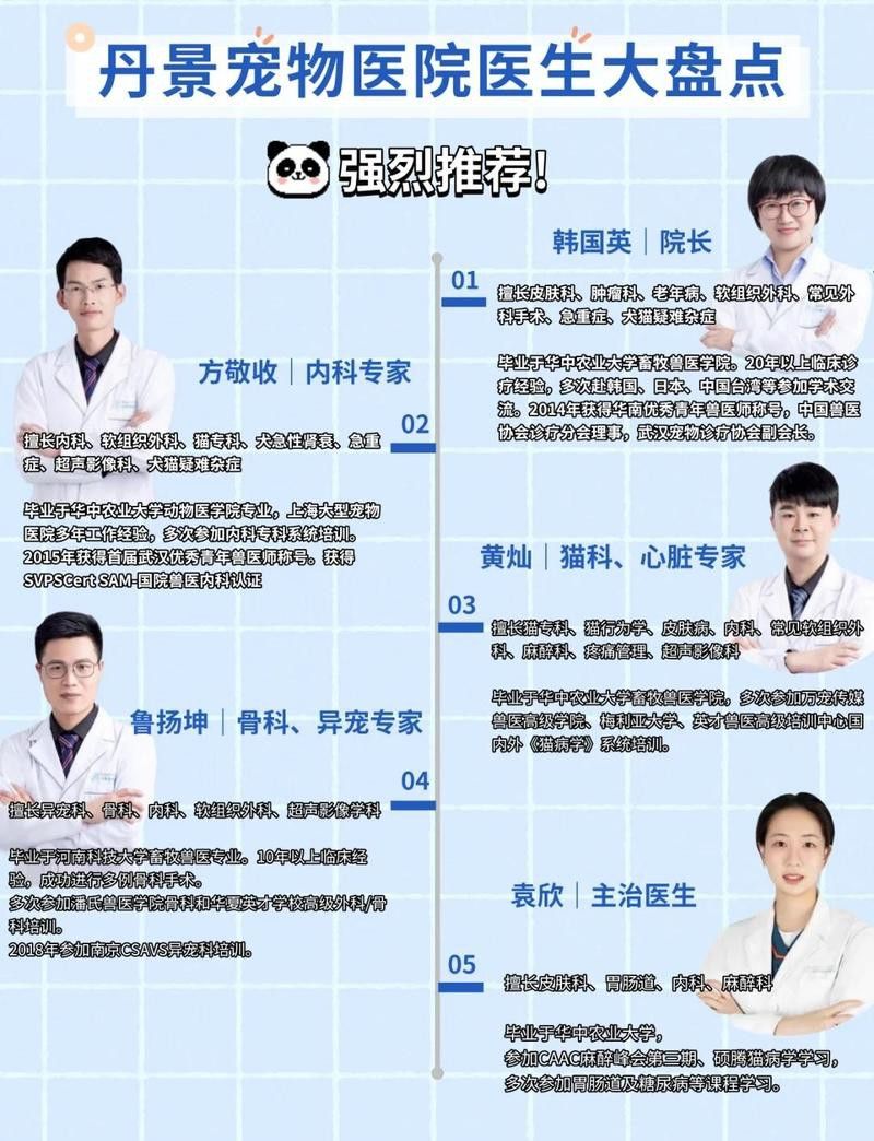 哪里可以找到專業的金龍魚手術醫師？ 哪里可以找到專業的金龍魚手術醫師？ 龍魚百科 第2張