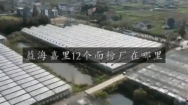 金龍魚掛面是哪里生產的品牌 金龍魚掛面是哪里生產的品牌 龍魚百科 第1張