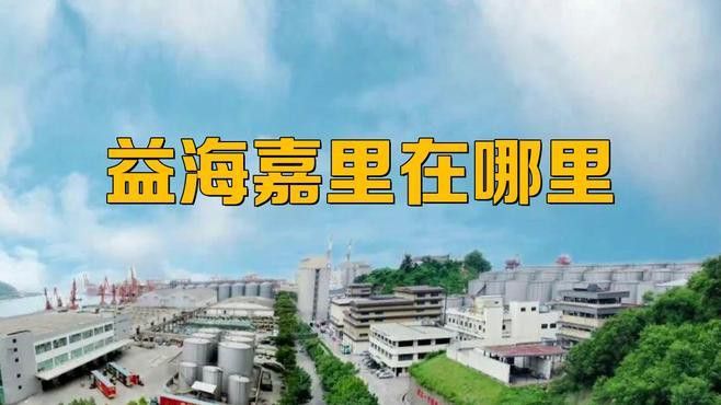 金龍魚掛面是哪里生產的品牌 金龍魚掛面是哪里生產的品牌 龍魚百科 第3張