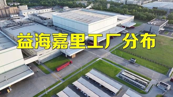金龍魚掛面是哪里生產的品牌 金龍魚掛面是哪里生產的品牌 龍魚百科 第2張