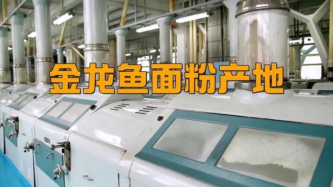 金龍魚掛面是哪里生產的品牌 金龍魚掛面是哪里生產的品牌 龍魚百科 第6張
