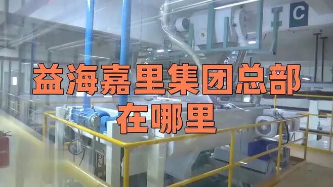 金龍魚掛面是哪里生產的品牌 金龍魚掛面是哪里生產的品牌 龍魚百科 第4張