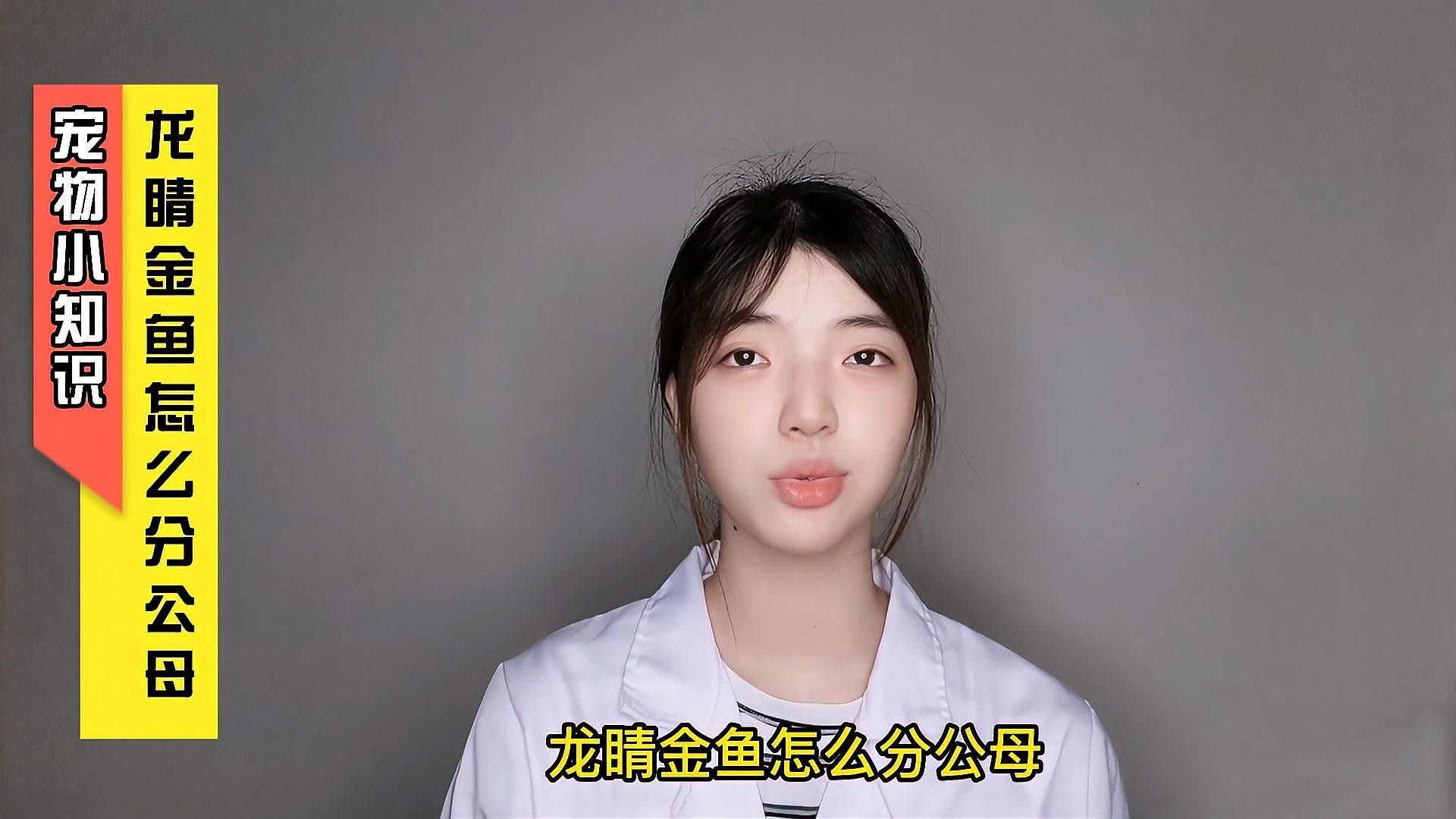 龍睛金魚的市場(chǎng)價(jià)格是多少 龍睛金魚的市場(chǎng)價(jià)格是多少 龍魚百科 第1張