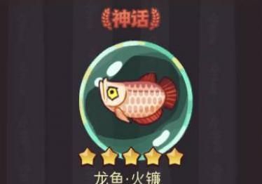 龍魚微信群（加入龍魚微信群需要注意什么？）