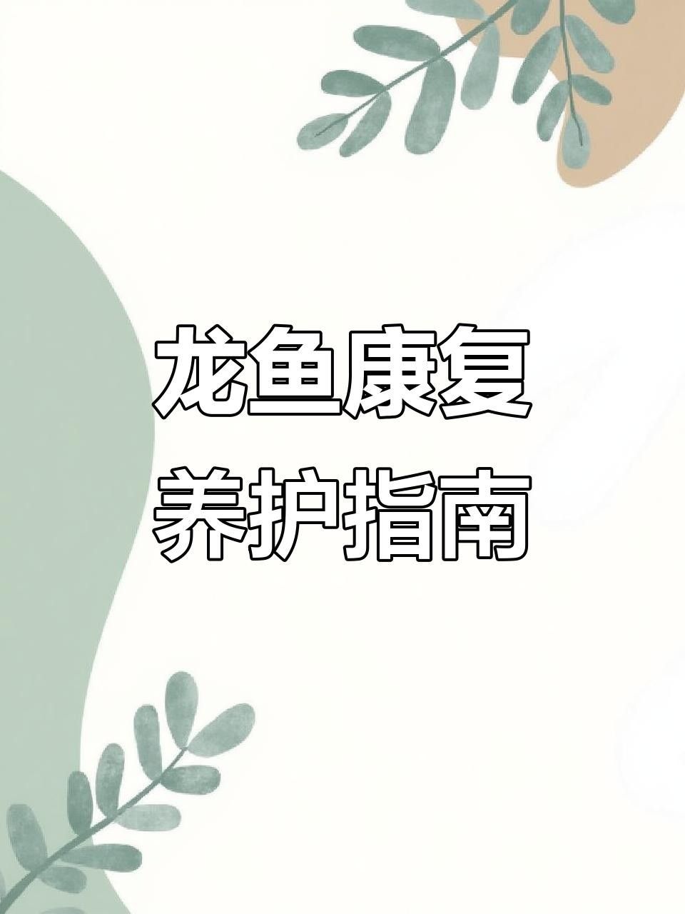 龍魚鰓蓋撞斷后如何清洗傷口？