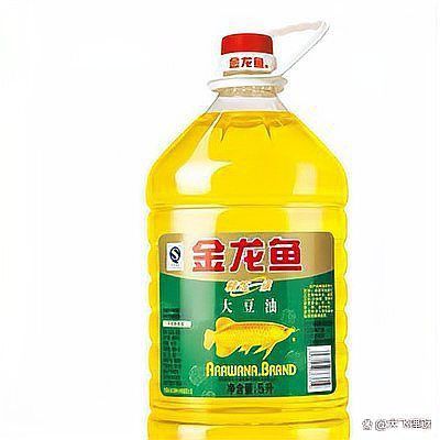 金禾金龍魚是雜牌嗎 龍魚百科 第1張 金禾金龍魚是雜牌嗎 金禾金龍魚是雜牌嗎 龍魚百科 第1張