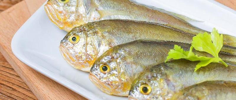如何判斷龍魚是否營養(yǎng)不良？