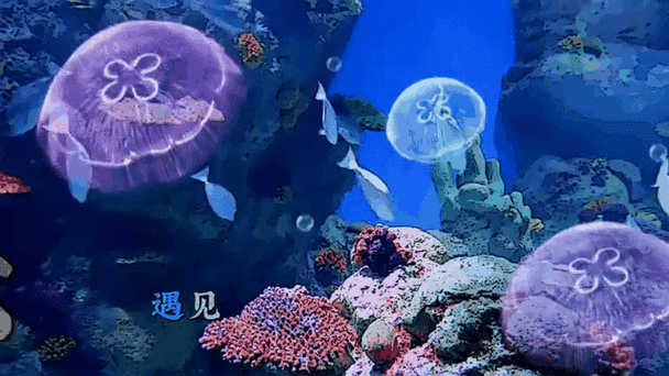 給我推薦幾款龍魚動態壁紙應用 龍魚百科 第6張 給我推薦幾款龍魚動態壁紙應用 給我推薦幾款龍魚動態壁紙應用 龍魚百科 第6張