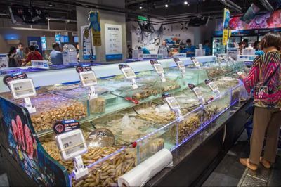 武漢水族批發市場，關于武漢水族批發市場的建議
