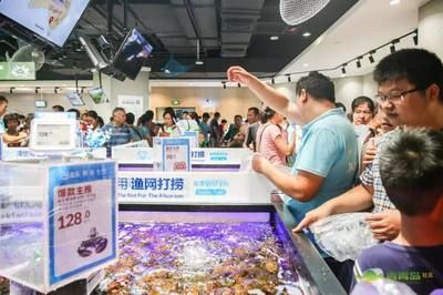 武漢水族批發市場，關于武漢水族批發市場的建議