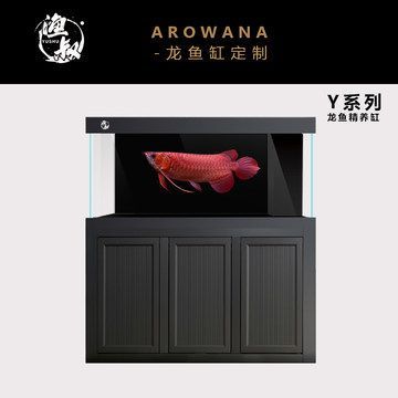 龍魚精養(yǎng)缸高度：龍魚精養(yǎng)缸的高度要求 龍魚精養(yǎng)缸高度：龍魚精養(yǎng)缸的高度要求 龍魚百科 第3張