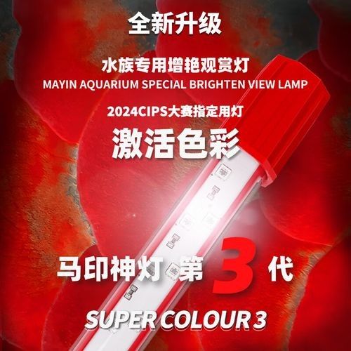 馬印神燈的價格是多少？