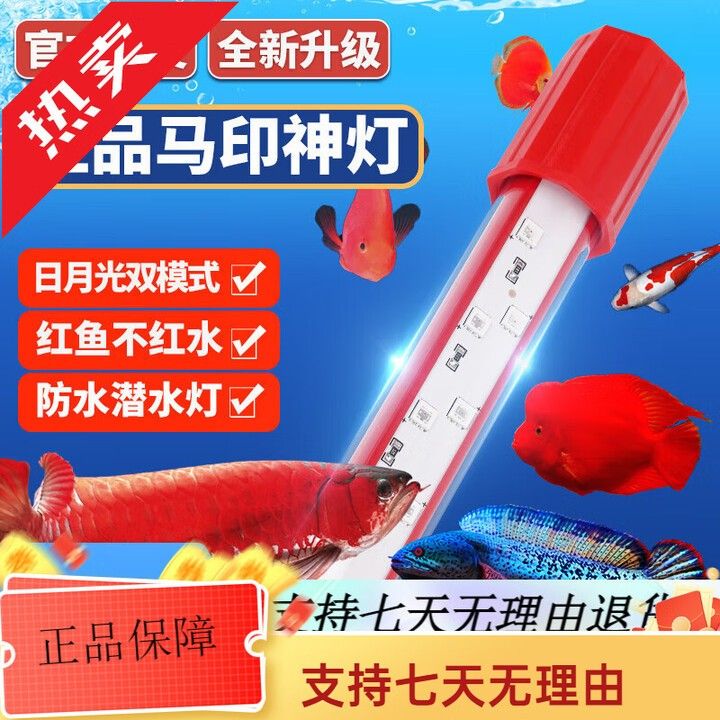 馬印神燈的價格是多少？