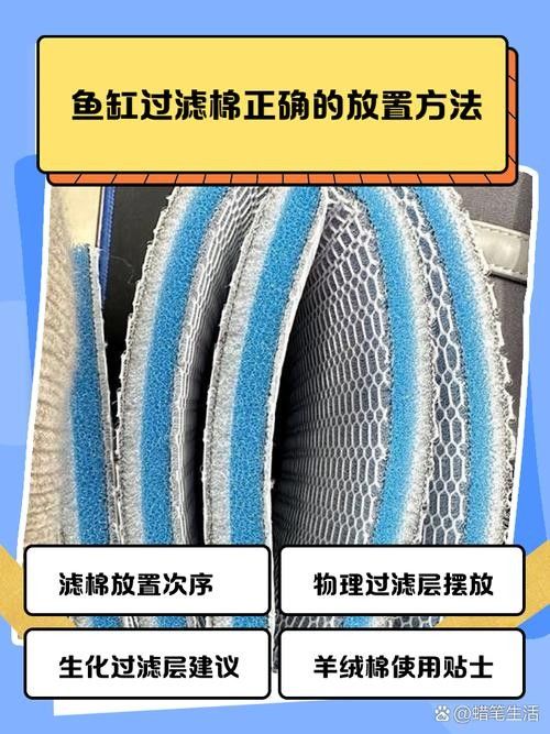 龍魚用什么過濾棉好