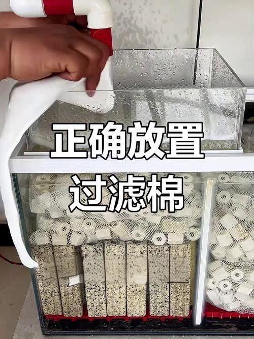 龍魚用什么過濾棉好