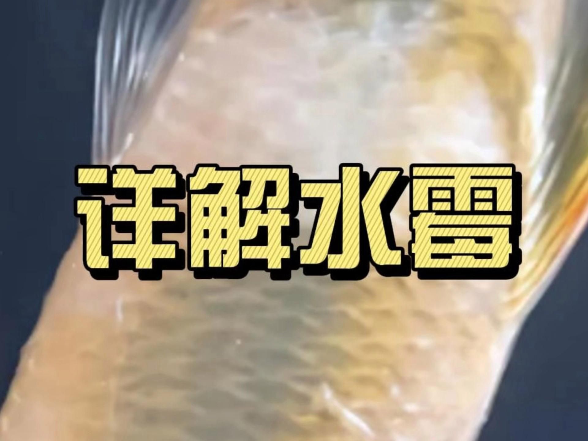 哪些魚容易得水霉病？ 哪些魚容易得水霉病？ 龍魚百科 第3張